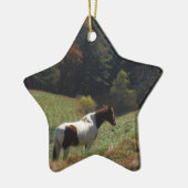 Bruin en wit paard in najaarsvijver keramisch ornament (Links)