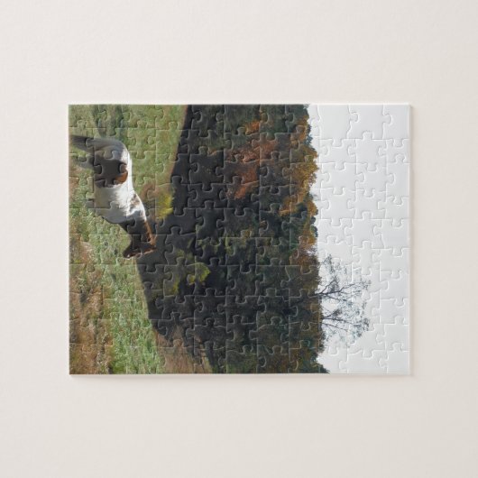 Bruin en wit paard in najaarsvijver legpuzzel (Horizontaal)