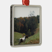 Bruin en wit paard in najaarsvijver metalen ornament (Rechts)