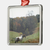 Bruin en wit paard in najaarsvijver metalen ornament (Links)