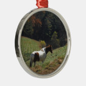 Bruin en wit paard in najaarsvijver metalen ornament (Rechts)