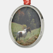 Bruin en wit paard in najaarsvijver metalen ornament (Links)
