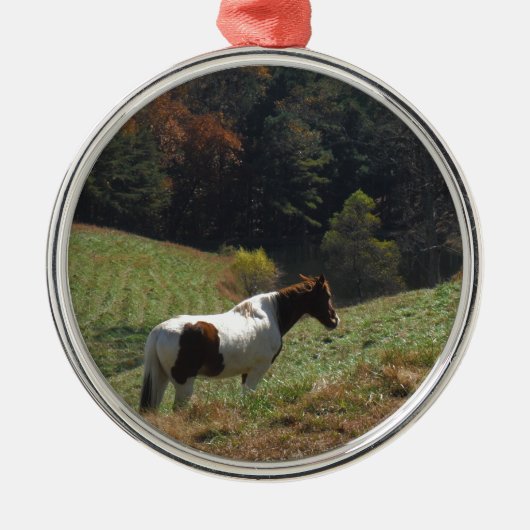 Bruin en wit paard in najaarsvijver metalen ornament (Voorkant)