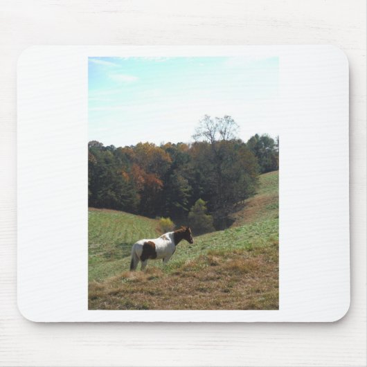 Bruin en wit paard in najaarsvijver muismat (Voorkant)