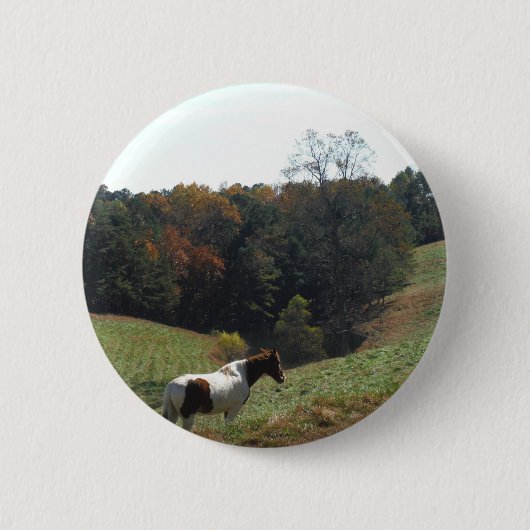 Bruin en wit paard in najaarsvijver ronde button 5,7 cm (Voorkant)