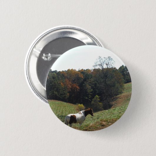 Bruin en wit paard in najaarsvijver ronde button 5,7 cm (Voorkant /achterkant)