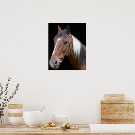 Bruin en wit paard poster (Keuken)