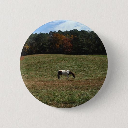 Bruin en wit paard ronde button 5,7 cm (Voorkant)