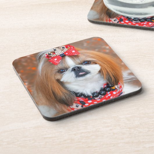 Bruin en wit sjiiet Tzu puppy Dog Bier Onderzetter (Linkerzijde)