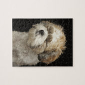 Bruin en wit sjiitisch Tzu met gesloten ogen Legpuzzel (Horizontaal)