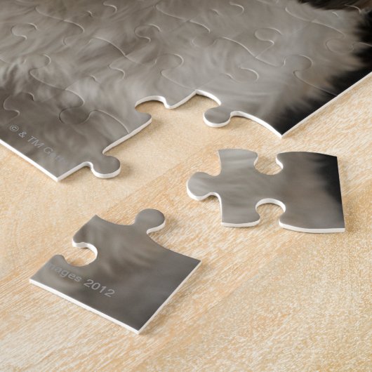 Bruin en wit sjiitisch Tzu met gesloten ogen Legpuzzel (Zijkant)