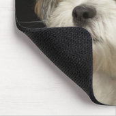 Bruin en wit sjiitisch Tzu met gesloten ogen Muismat (Hoek)