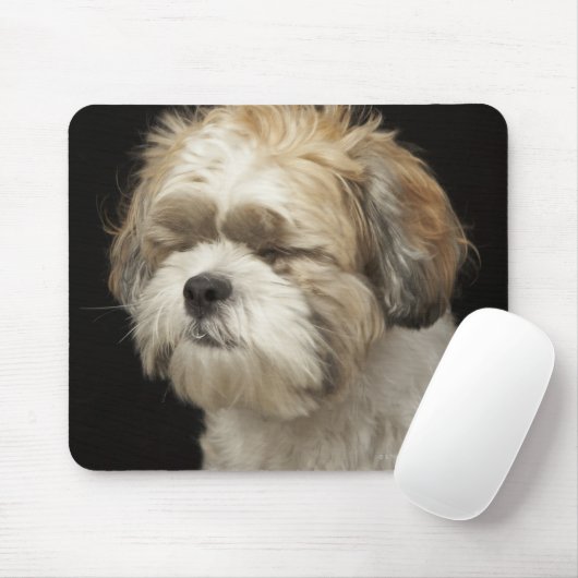 Bruin en wit sjiitisch Tzu met gesloten ogen Muismat (Met muis)