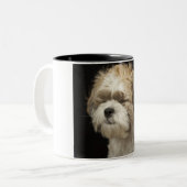 Bruin en wit sjiitisch Tzu met gesloten ogen Tweekleurige Koffiemok (Voorkant links)