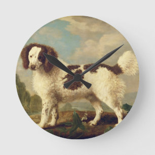 Bruin en Wit Spaniel van Norfolk of van het Water, Ronde Klok