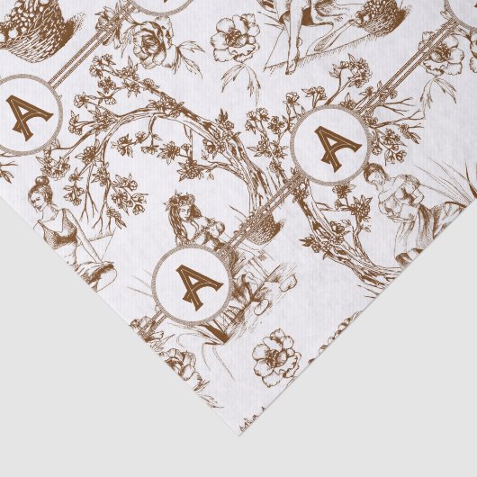 Bruin en wit toilet tissuepapier (Detail)