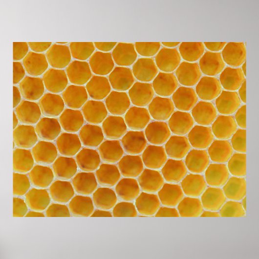 Bruin en wit vierkant patroon poster (Voorkant)