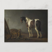 Bruin- en witpaard briefkaart (Voorkant)