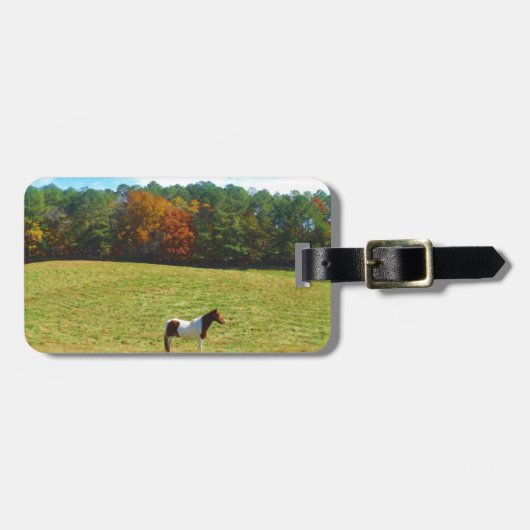 Bruin- en witpaard, herfstbomen, blauwe hemel bagagelabel (Voorkant horizontaal)
