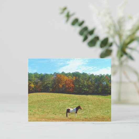 Bruin- en witpaard, herfstbomen, blauwe hemel briefkaart (Staand voorkant)