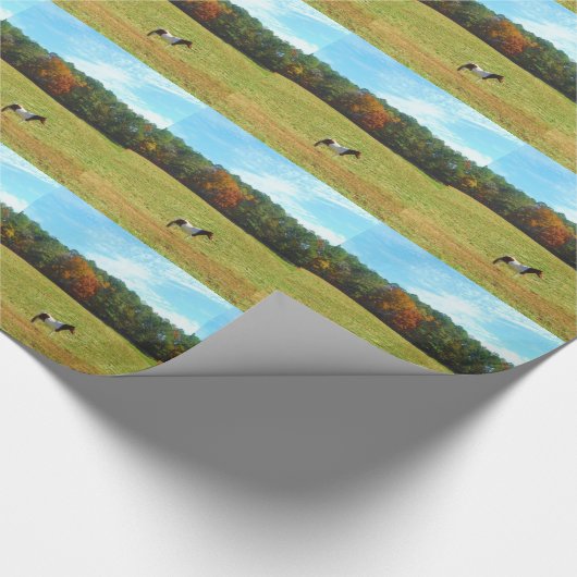 Bruin- en witpaard, herfstbomen, blauwe hemel cadeaupapier (Hoek)