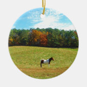 Bruin- en witpaard, herfstbomen, blauwe hemel keramisch ornament (Voorkant)