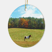 Bruin- en witpaard, herfstbomen, blauwe hemel keramisch ornament (Links)
