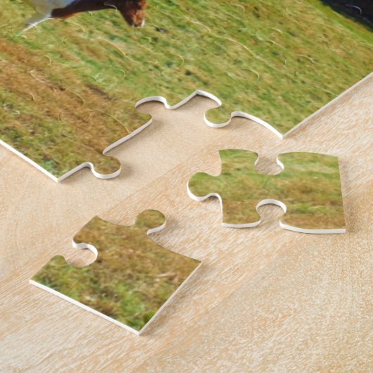 Bruin- en witpaard, herfstbomen, blauwe hemel legpuzzel (Zijkant)