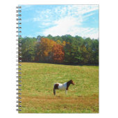 Bruin- en witpaard, herfstbomen, blauwe hemel notitieboek (Voorkant)