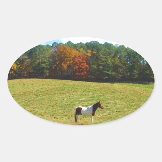 Bruin- en witpaard, herfstbomen, blauwe hemel ovale sticker (Voorkant)