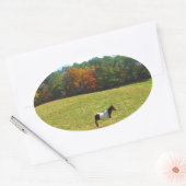 Bruin- en witpaard, herfstbomen, blauwe hemel ovale sticker (Envelop)