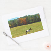 Bruin- en witpaard, herfstbomen, blauwe hemel rechthoekige sticker (Envelop)