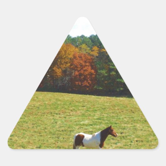 Bruin- en witpaard, herfstbomen, blauwe hemel sticker (Voorkant)