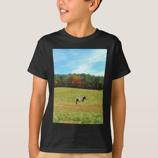 Bruin- en witpaard, herfstbomen, blauwe hemel t-shirt (Voorkant)