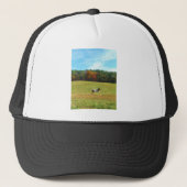 Bruin- en witpaard, herfstbomen, blauwe hemel trucker pet (Voorkant)