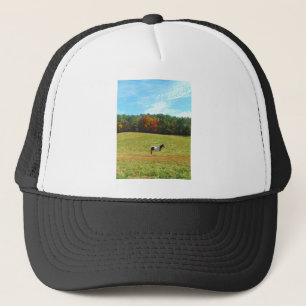 Bruin- en witpaard, herfstbomen, blauwe hemel trucker pet
