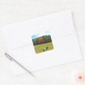 Bruin- en witpaard, herfstbomen, blauwe hemel vierkante sticker (Envelop)
