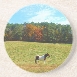 Bruin- en witpaard, herfstbomen, blauwe hemel zandsteen onderzetter