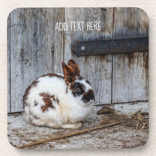 Bruin en witte bondskonijn op het Boerderij Bier Onderzetter (Voorkant)