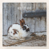 Bruin en witte bondskonijn op het Boerderij Glazen Onderzetter (Voorkant)