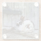 Bruin en witte bondskonijn op het Boerderij Glazen Onderzetter (Achterkant)