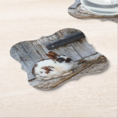 Bruin en witte bondskonijn op het Boerderij Kartonnen Onderzetters (Gekanteld)