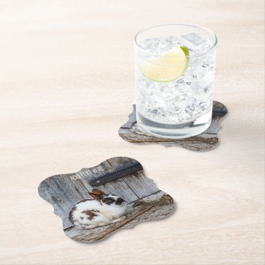 Bruin en witte bondskonijn op het Boerderij Kartonnen Onderzetters (Insitu)