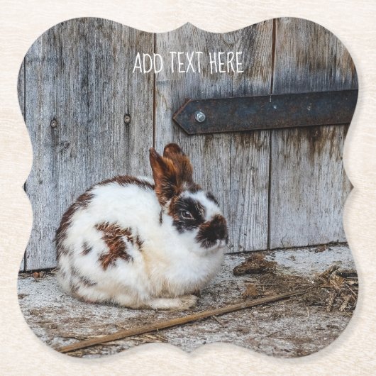 Bruin en witte bondskonijn op het Boerderij Kartonnen Onderzetters (Voorkant)