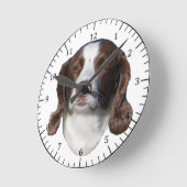 Bruin- en witte klok (Hoek)