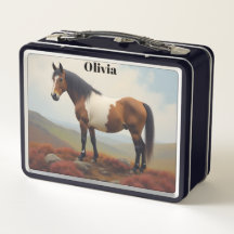 Bruin en Witte Shetland Pony Girl's Kind