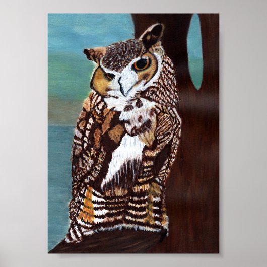 Bruin en Witte Uil Poster (Voorkant)