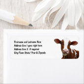 Bruin en Witte Zuivel Koe Etiket (Insitu)