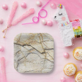 Bruin en zwart getextureerde kieuwsteen papieren bordje (Feest)