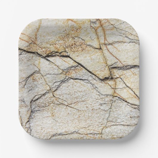 Bruin en zwart getextureerde kieuwsteen papieren bordje (Voorkant)